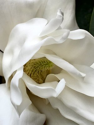 FullSizeRender 4
