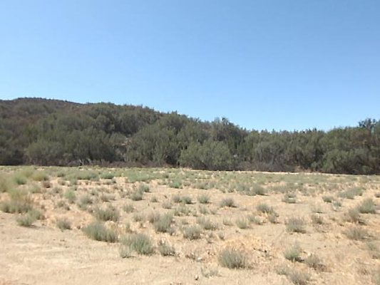 OPEN SPACE