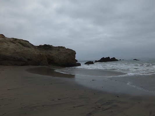 DSCF6335