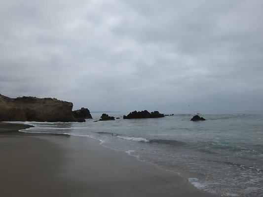 DSCF6336