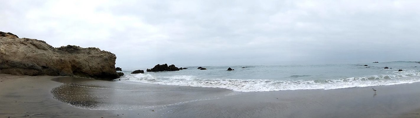 DSCF6333