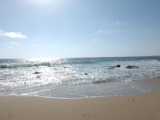 DSCF6086
