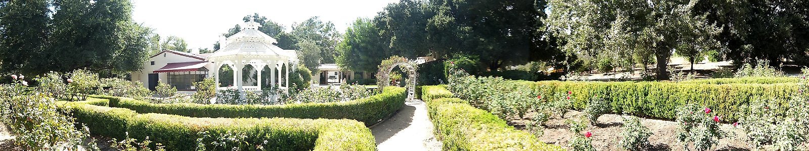0j-DSCF6482