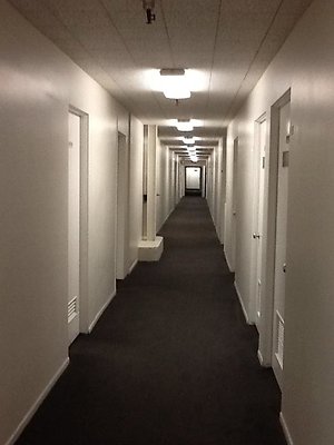 IMG 1409