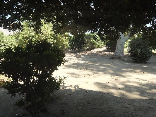 DSCF6244