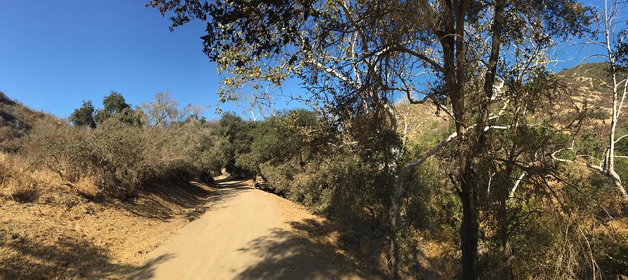 BRONSON CANYON