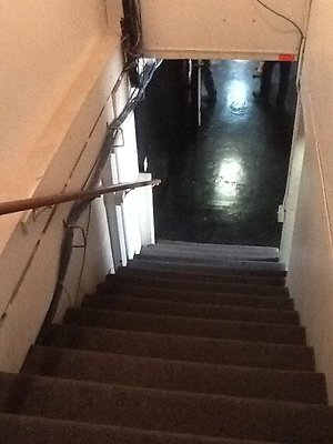 IMG 1442