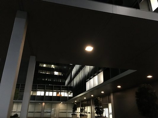 IMG 1742