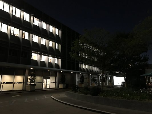 IMG 1739