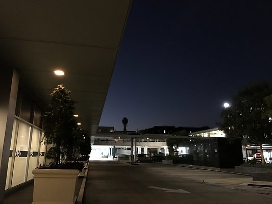IMG 1736