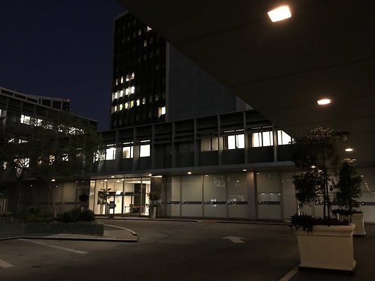 IMG 1727
