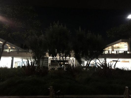IMG 1748