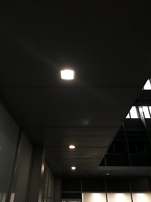 IMG 1740