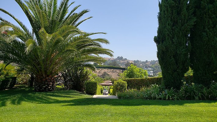 2555 Benedict Canyon - LA - 65