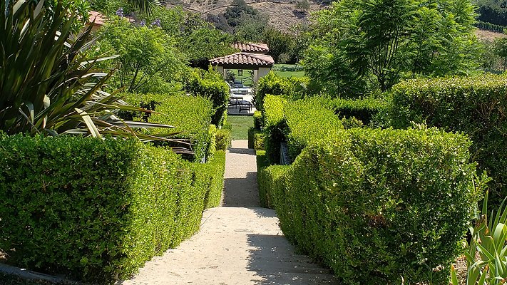 2555 Benedict Canyon - LA - 66