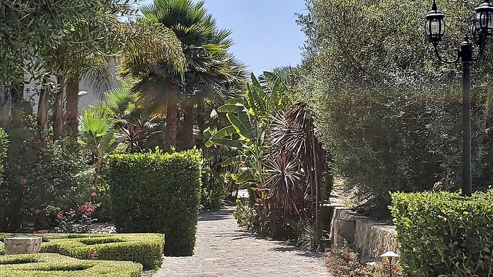 2555 Benedict Canyon - LA - 104