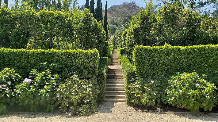 2555 Benedict Canyon - LA - 67